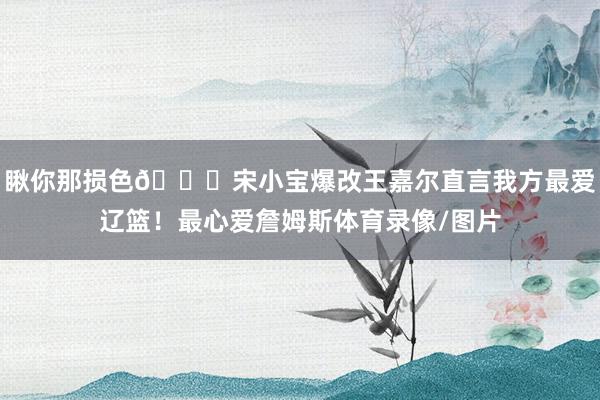 瞅你那损色😛宋小宝爆改王嘉尔直言我方最爱辽篮！最心爱詹姆斯体育录像/图片