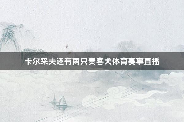 卡尔采夫还有两只贵客犬体育赛事直播