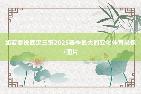 如若要说武汉三镇2025赛季最大的变化体育录像/图片