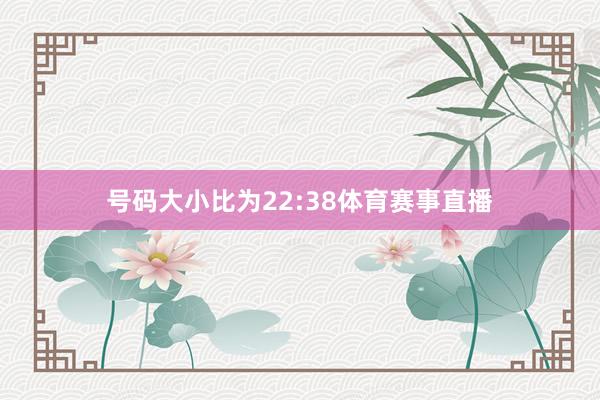号码大小比为22:38体育赛事直播