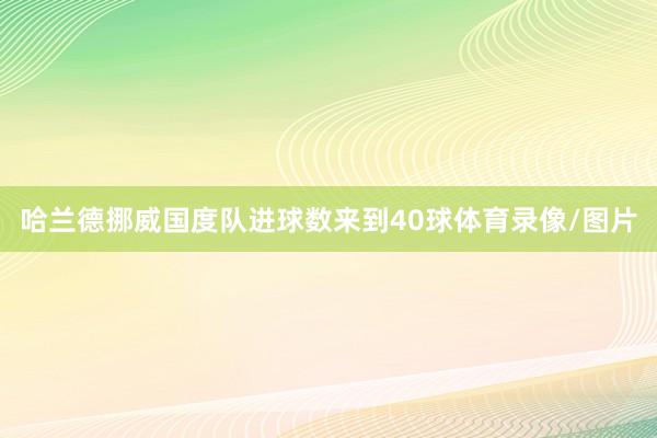 哈兰德挪威国度队进球数来到40球体育录像/图片
