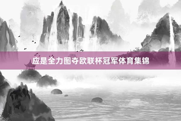 应是全力图夺欧联杯冠军体育集锦