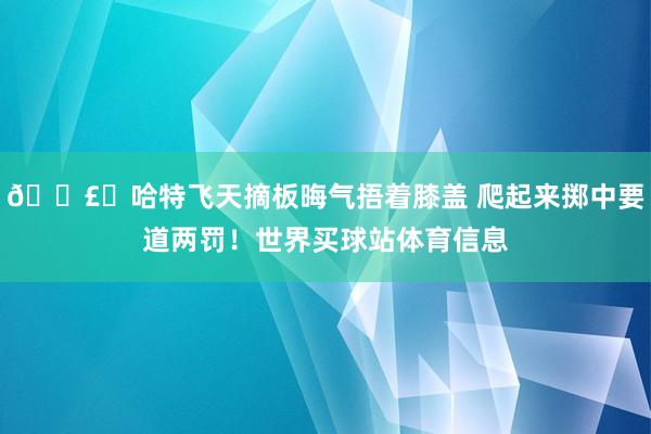 💣️哈特飞天摘板晦气捂着膝盖 爬起来掷中要道两罚！世界买球站体育信息