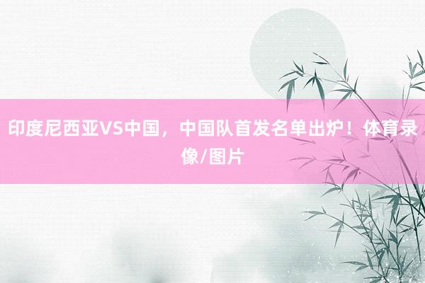 印度尼西亚VS中国，中国队首发名单出炉！体育录像/图片