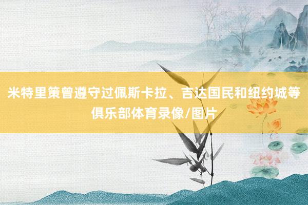 米特里策曾遵守过佩斯卡拉、吉达国民和纽约城等俱乐部体育录像/图片