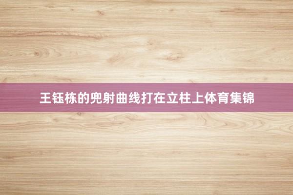 王钰栋的兜射曲线打在立柱上体育集锦