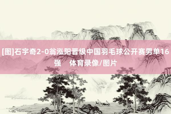 [图]石宇奇2-0翁泓阳晋级中国羽毛球公开赛男单16强    体育录像/图片