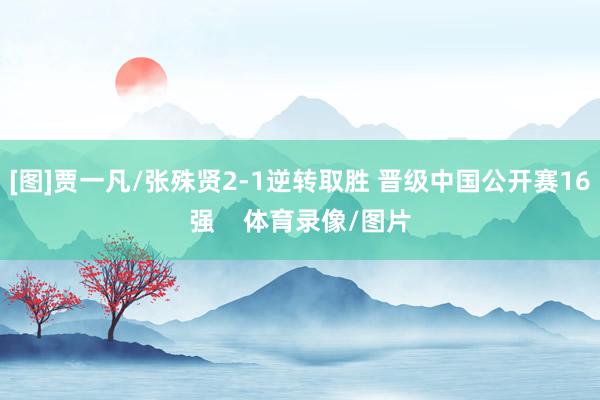[图]贾一凡/张殊贤2-1逆转取胜 晋级中国公开赛16强    体育录像/图片