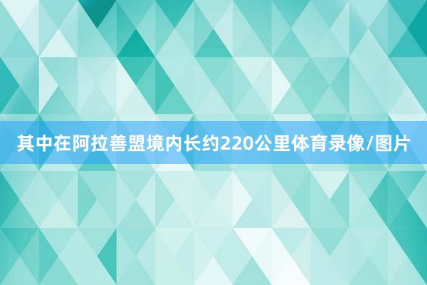 其中在阿拉善盟境内长约220公里体育录像/图片