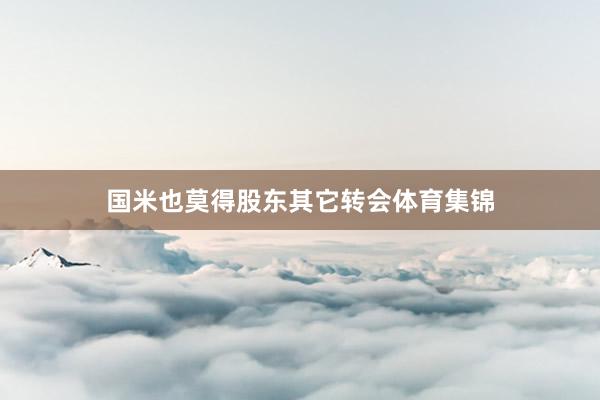 国米也莫得股东其它转会体育集锦