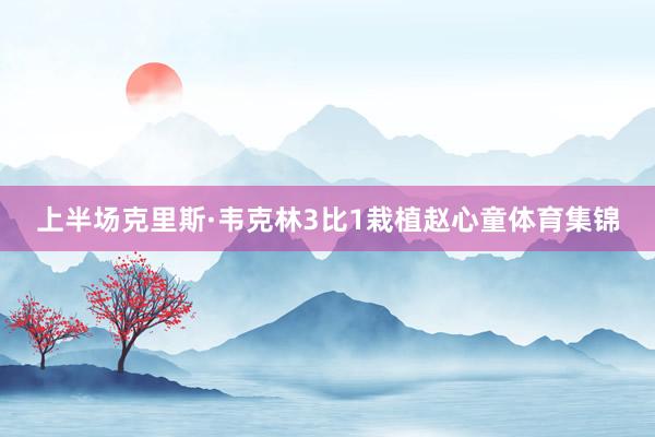上半场克里斯·韦克林3比1栽植赵心童体育集锦