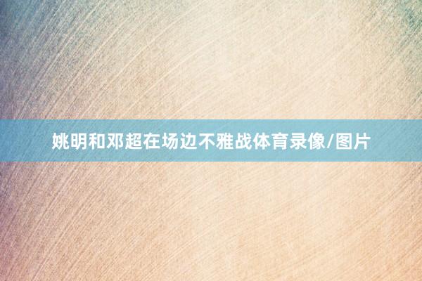 姚明和邓超在场边不雅战体育录像/图片