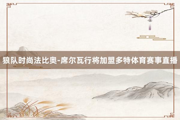 狼队时尚法比奥-席尔瓦行将加盟多特体育赛事直播