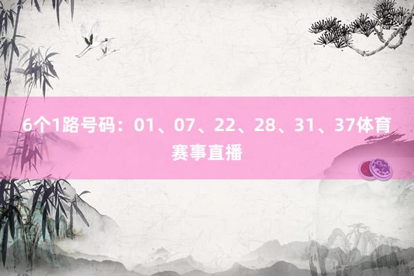 6个1路号码：01、07、22、28、31、37体育赛事直播