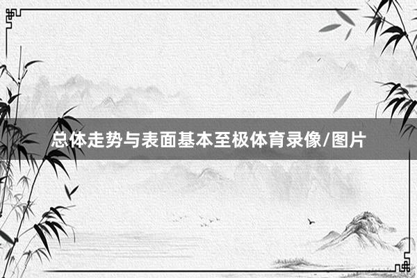 总体走势与表面基本至极体育录像/图片