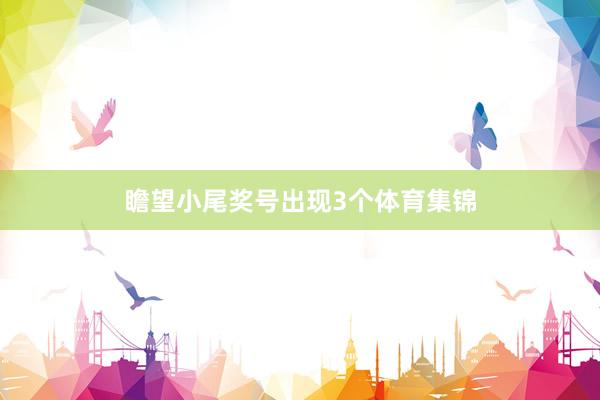 瞻望小尾奖号出现3个体育集锦