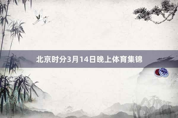 北京时分3月14日晚上体育集锦