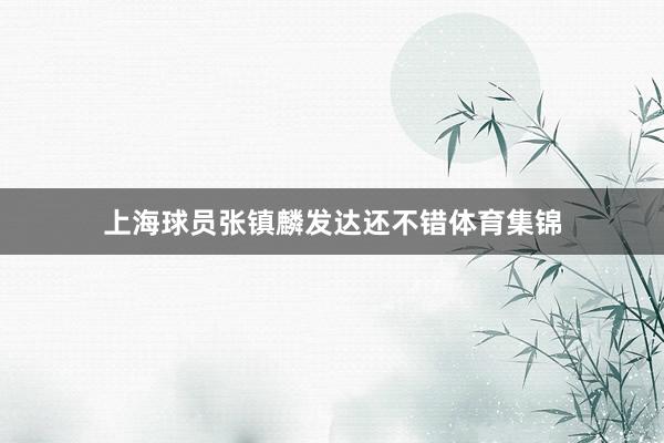 上海球员张镇麟发达还不错体育集锦