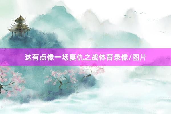 这有点像一场复仇之战体育录像/图片