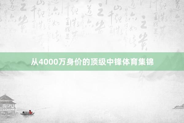 从4000万身价的顶级中锋体育集锦