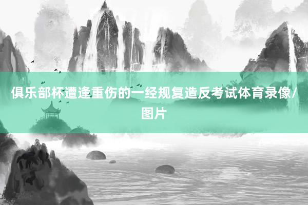 俱乐部杯遭逢重伤的一经规复造反考试体育录像/图片