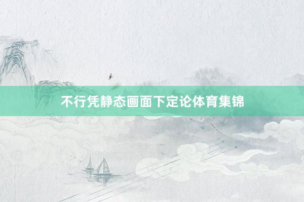 不行凭静态画面下定论体育集锦