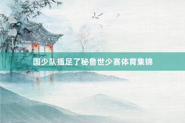 国少队插足了秘鲁世少赛体育集锦