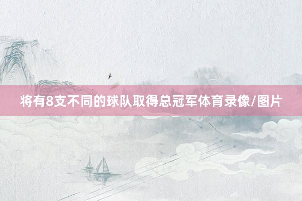将有8支不同的球队取得总冠军体育录像/图片