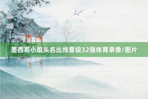 墨西哥小组头名出线晋级32强体育录像/图片